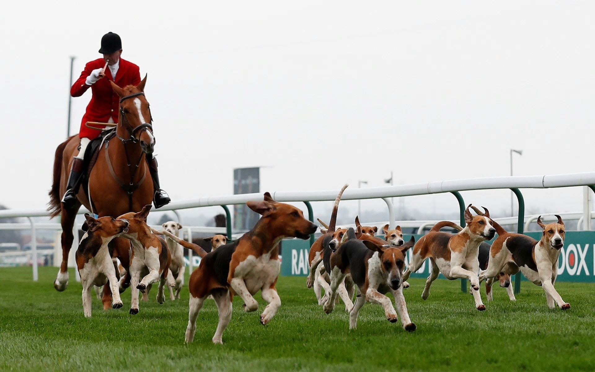 Cheltenham