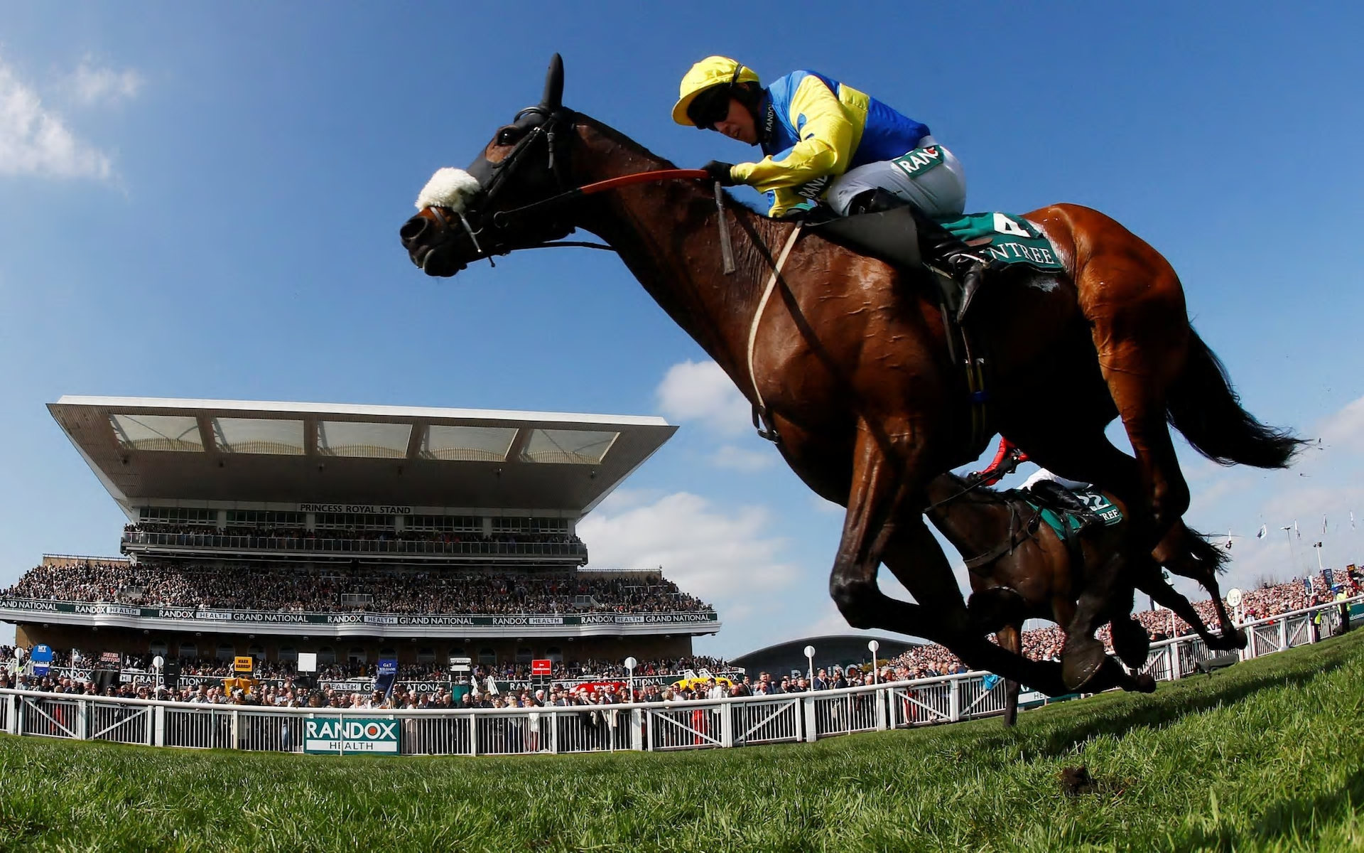 Racegoer