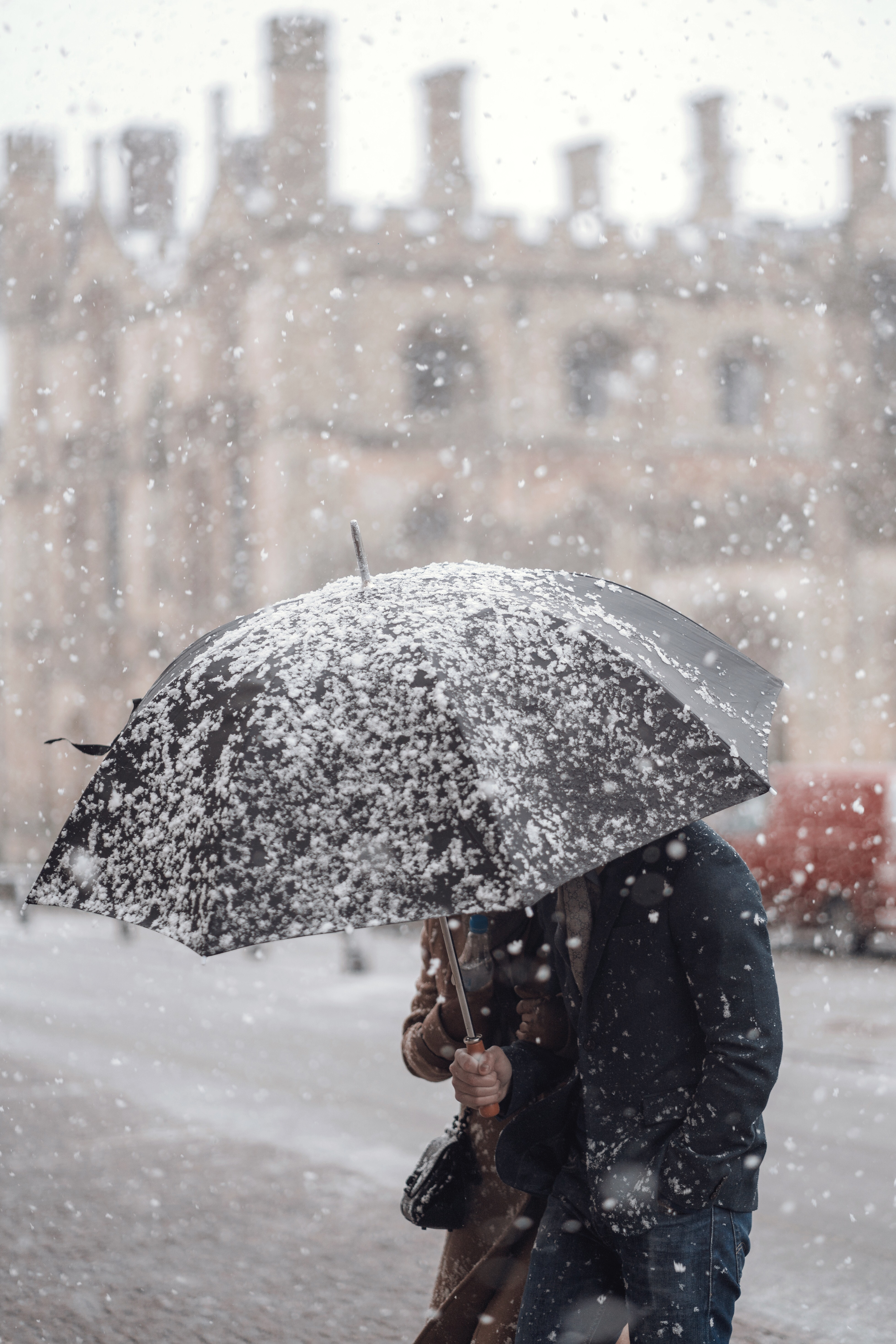 Umbrella
